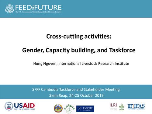 Cross cutting activities: Gender, capacity building and taskforce