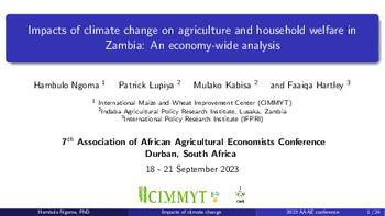 Impacts of climate change on agriculture and household welfare in Zambia: an economy-wide analysis