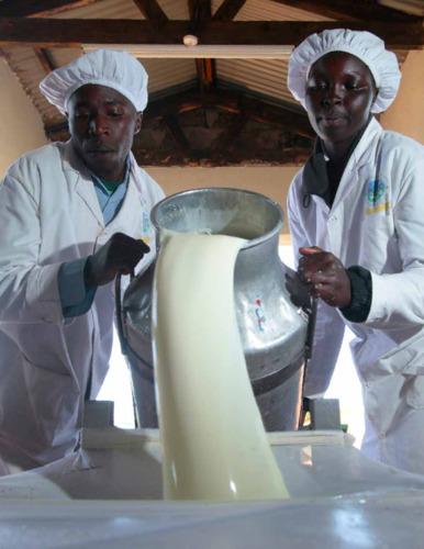 Employment in agriculture: Jobs for Africa’s youth