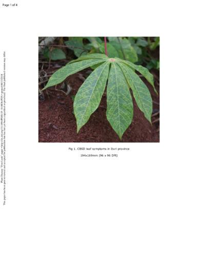 First report of mixed infection of cassava brown streak virus and Ugandan cassava brown streak virus on cassava in north-eastern Democratic Republic of Congo