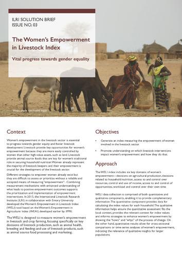 The Women's Empowerment in Livestock Index: Vital progress towards gender equality