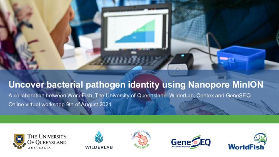 Uncover bacterial pathogen identity using Nanopore MinION