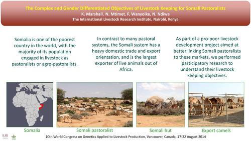 The complex and gender differentiated objectives of livestock keeping for Somali pastoralists