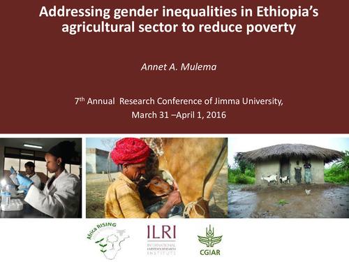 Addressing gender inequalities in Ethiopia’s agricultural sector to reduce poverty