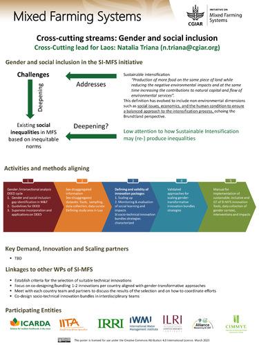 Cross-cutting streams: Gender and social inclusion