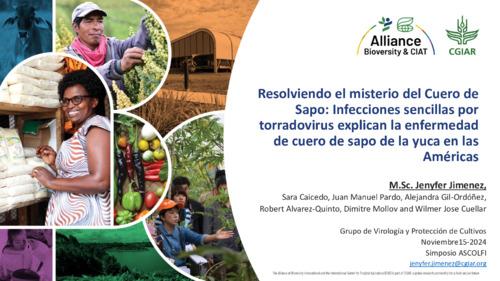 Resolviendo el misterio del Cuero de Sapo: Infecciones sencillas por torradovirus explican la enfermedad de cuero de sapo de la yuca en las Américas