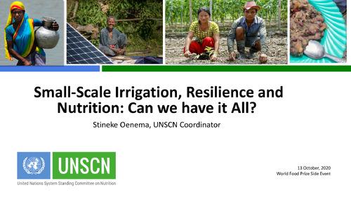 Small-Scale Irrigation, Resilience and Nutrition: Can We Have It All?