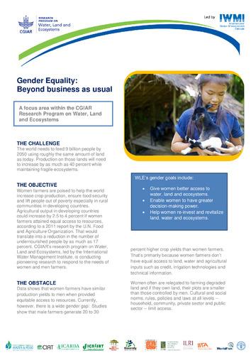 Gender equality: beyond business as usual