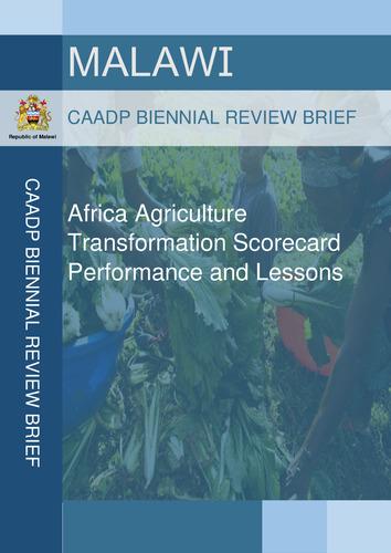 Africa agriculture transformation scorecard performance and lessons for Malawi