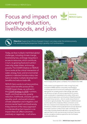 Focus and impact on poverty reduction, livelihoods, and jobs