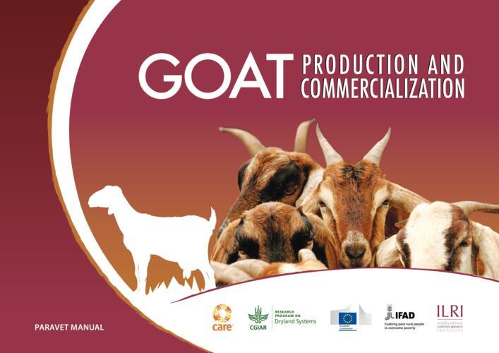 Goat production and commercialization
