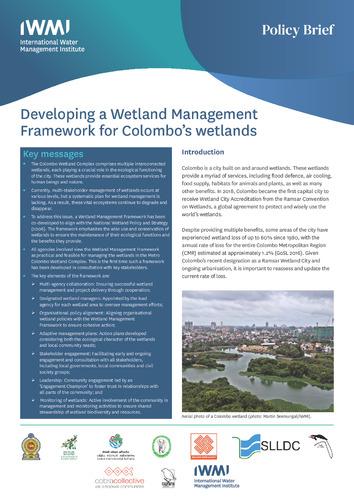 Developing a wetland management framework for Colombo’s Wetlands