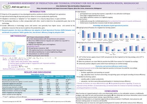 TH2.3: A gendered assessment of production and technical efficiency for rice in Vakinankaratra region, Madagascar