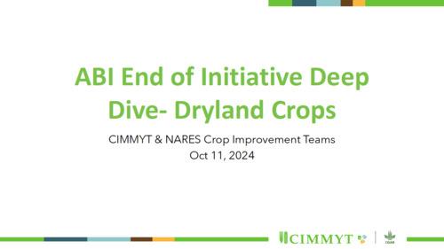 ABI End of Initiative - 2024 Progress Deep Dive of the sorghum, millet, groundnut and pigeonpea breeding teams from CIMMYT