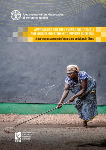 Approaches for the leveraging small and medium enterprises to improve nutrition: A net-map assessment of actors and activities in Ghana