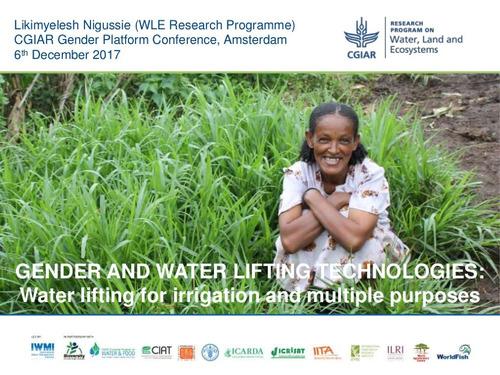 Gender and water lifting technologies: water lifting irrigation and multiple purposes