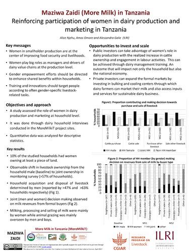 Reinforcing participation of women in dairy production and marketing in Tanzania