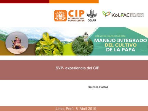 Seleccion varietal participativa (SVP) - Experiencia del CIP