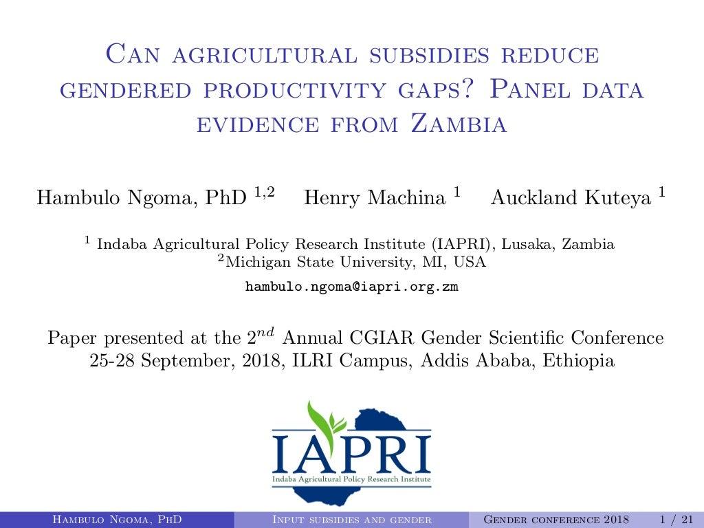 Can agricultural subsidies reduce gendered productivity gaps? Panel data evidence from Zambia