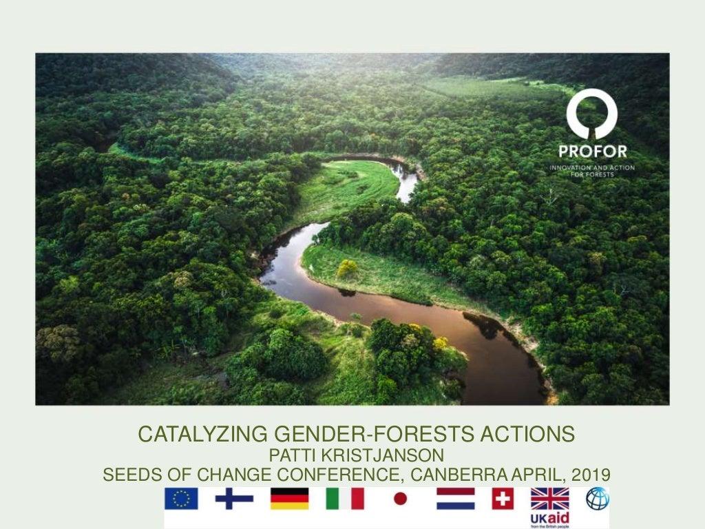 Catalyzing gender-forests action