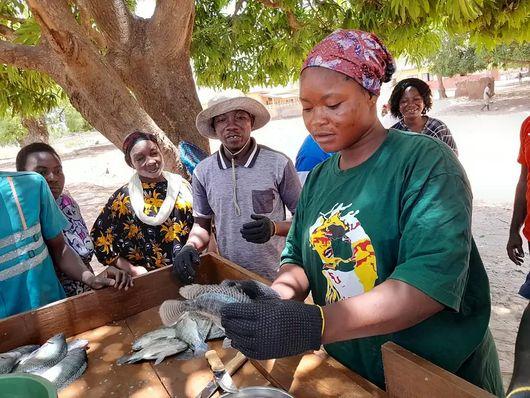 Quick gains or long-term futures?: context matters for how young people in Ghana view aquaculture