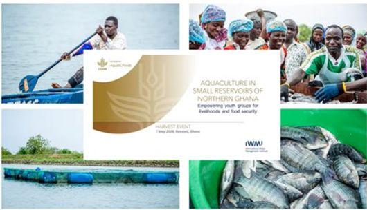 Sustainable aquaculture in northern Ghana