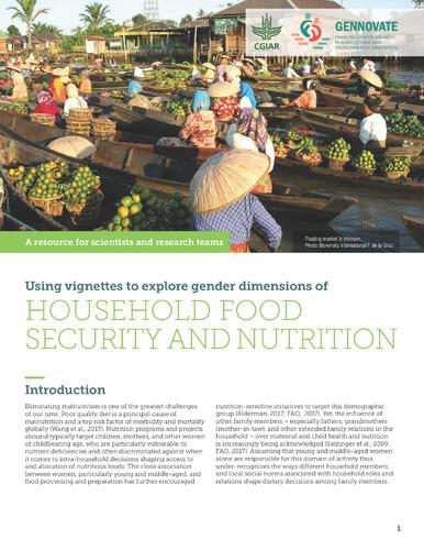 Using vignettes to explore gender dimensions of household food security and nutrition