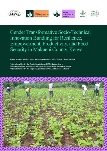 Gender transformative socio-technical innovation Bundling for resilience, empowerment, productivity, and food security in Makueni County, Kenya