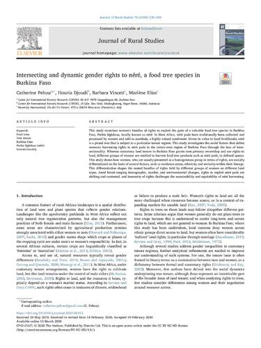 Intersecting and dynamic gender rights to néré, a food tree species in Burkina Faso