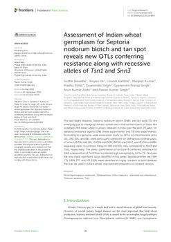 Assessment of Indian wheat germplasm for Septoria nodorum blotch and tan spot reveals new QTLs conferring resistance along with recessive alleles of Tsn1 and Snn3