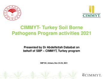 CIMMYT - Turkey Soil Borne Pathogens Program activities 2021