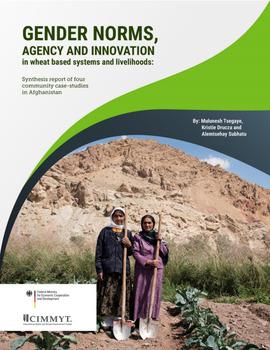 Gender norms agency and innovation in wheat-based systems and livelihoods:  synthesis report of four community case studies in Afghanistan