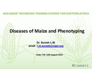 Diseases of maize and phenotyping