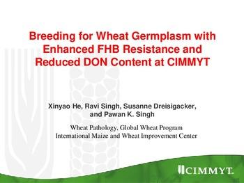 Breeding for wheat germplasm with enhanced FHB resistance and reduced DON content at CIMMYT