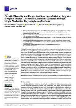 Genetic diversity and population structure of African sorghum (sorghum bicolor L. moench) accessions assessed through single nucleotide polymorphisms markers