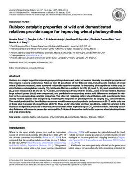 Rubisco catalytic properties of wild and domesticated relatives provide scope for improving wheat photosynthesis