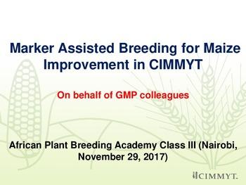 Marker assisted breeding for maize improvement in CIMMYT