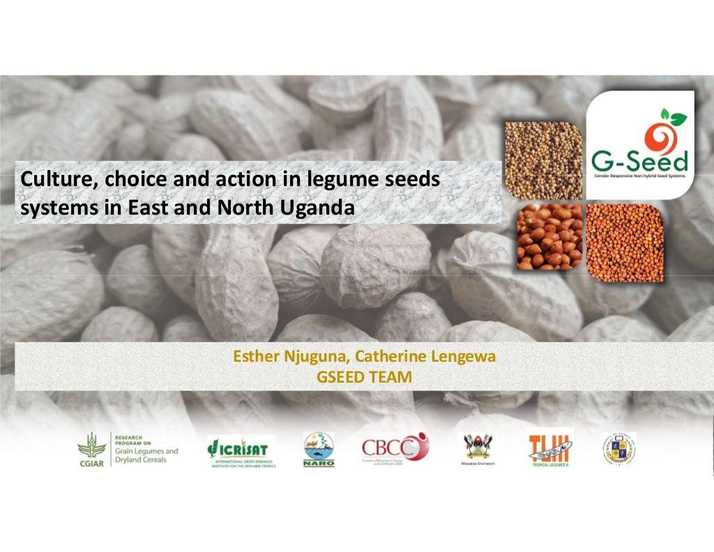 Culture, choice and action in legume seeds systems in East and North Uganda