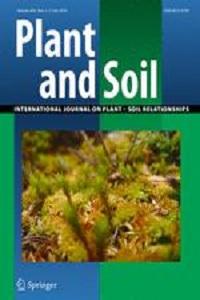Residual effect of BNI by Brachiaria humidicola pasture on nitrogen recovery and grain yield of subsequent maize