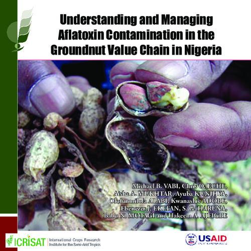 Understanding and Managing Aflatoxin Contamination in the Groundnut Value Chain in Nigeria