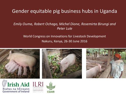 Gender equitable pig business hubs in Uganda