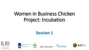 Women in Business Chicken Project: Mentoring support for a gender responsive incubation process