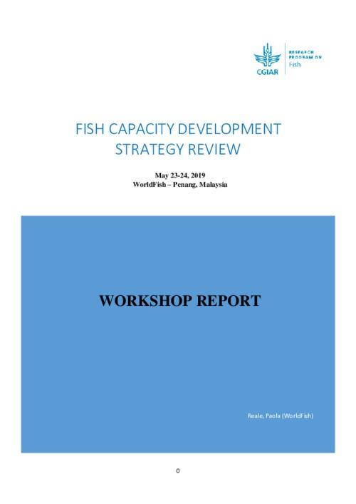 Capacity Development Strategy Review Workshop