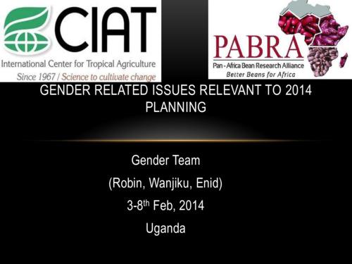 Gender related issues relevant to 2014 planning