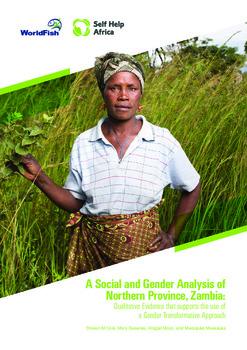 A social and gender analysis of Northern Province, Zambia: Qualitative evidence that supports the use of a gender transformative approach