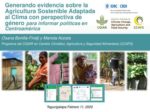 Generando evidencia sobre la Agricultura Sostenible Adaptada al Clima con perspectiva de género para informar políticas en Centroamérica