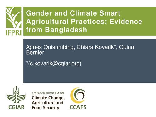 Gender and Climate Smart Agricultural Practices: Evidence from Bangladesh