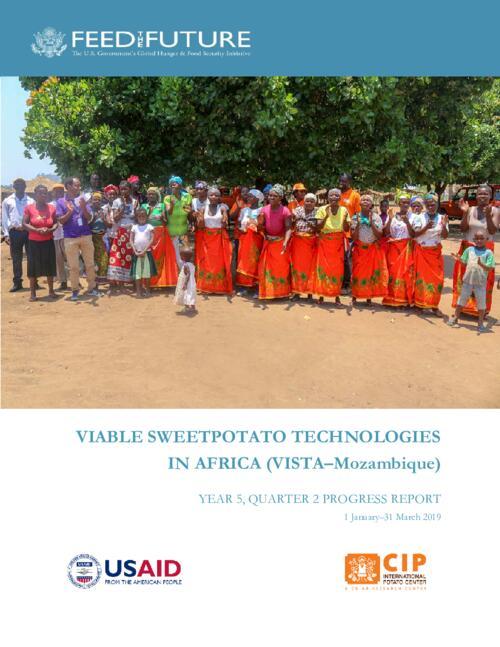 2019 Fist Quarter Technical Report - The Viable Sweetpotato Technologies in Africa (VISTA) Mozambique