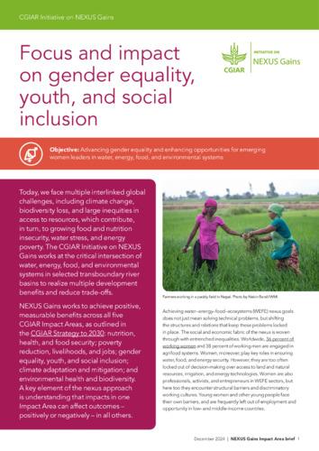 Focus and impact on gender equality, youth, and social inclusion