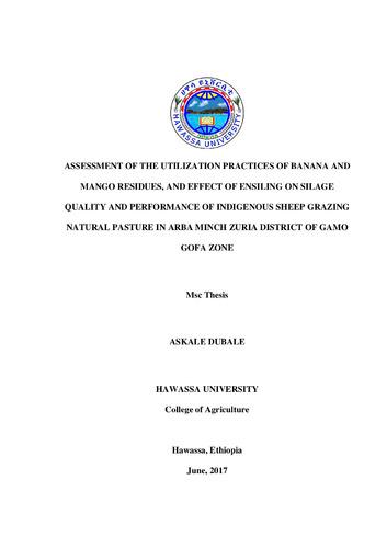 Assessment of the potential and utilization of banana and mango residues, and effect of ensiling on silage quality and performance of indigenous sheep grazing natural pasture in Arbaminch Zuria district of Gamo gofa zone